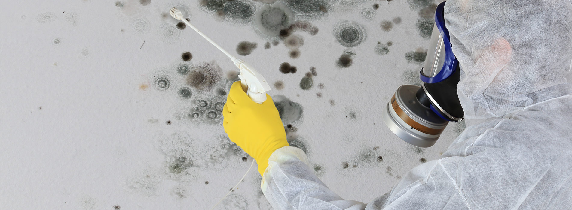 Mold Inspection | CornerStone Home Inspection Services LLC